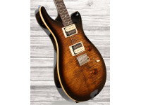 prs-se-custom-24-bg_60892830c9bcb.jpg