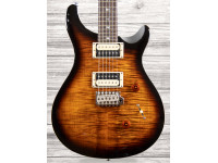 prs-se-custom-24-bg_60892831c6f64.jpg