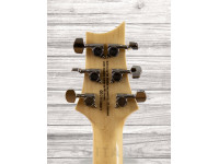 prs-se-custom-24-faded-blue-burst_60891a373d926.jpg