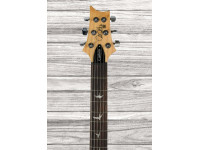 prs-se-custom-24-faded-blue_65ddae4744d44.jpg