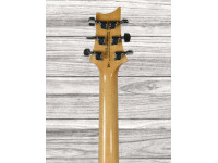 prs-se-custom-24-faded-blue_65ddae4b5b6ce.jpg