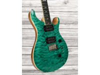 prs-se-custom-24-quilt-tu_65df0c62f2fd8.jpg