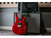 prs-se-custom-24-ruby-ltd_668fdcc039bbf.jpg