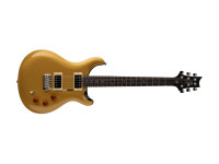 prs-se-dgt-gold-top_646f88f08e7e6.jpg