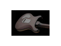 prs-se-dgt-mt-exotic-ltd_67f8f1897c582.jpg