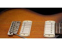 prs-se-dgt-standard-moons-mts_68f908b1e831e.jpg
