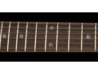 prs-se-dgt-standard-moons-mts_68f908b6416ef.jpg