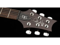 prs-se-dgt-standard-moons-mts_68f908ba79550.jpg