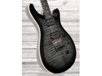 prs-se-floyd-custom-24-charcoal-burst_60ad14d4917eb.jpg