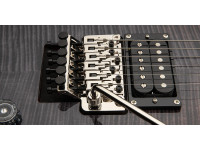 prs-se-floyd-custom-24-charcoal-cherry-burst_6839ce418bf0d.jpg