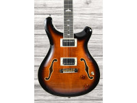 prs-se-hollowbody-ii-bg_6380e49727d8d.jpg