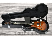 prs-se-hollowbody-ii-bg_6380e49b9555f.jpg