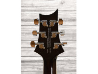 prs-se-hollowbody-ii-piezo-bg_60ccd3de9a4ce.jpg