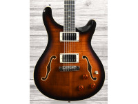 prs-se-hollowbody-ii-piezo-bg_60ccd3e15e54e.jpg