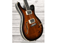 prs-se-hollowbody-ii-piezo-bg_60ccd3e26379c.jpg