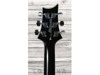 prs-se-hollowbody-standard-in-fire-red_6356666b8be8f.jpg