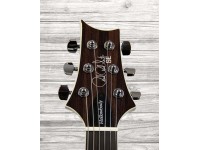 prs-se-hollowbody-standard-mccarty-tobacco-sunburst_5f92a12674fe5.jpg