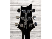 prs-se-mark-tremonti-signature-charcoal-burst_60241268a479f.jpg