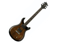 prs-se-pauls-guitar-bg_623dcd7a736c5.jpg