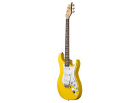 prs-se-silver-sky-dandy-lion_68f0d243edd63.jpg