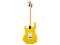 prs-se-silver-sky-dandy-lion_68f0d245cbfb4.jpg