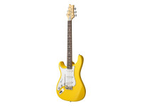 prs-se-silver-sky-lh-dandy-lion_68f0ed2ab9364.jpg