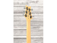prs-se-silver-sky-stone-blue_648c25ef4cc9d.jpg