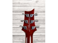 prs-se-standard-24-tobacco-burst-21_60a7cd636ad31.jpg