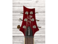 prs-se-standard-24-vc-2018_60ab8342d49ff.jpg