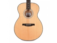 prs-se-t55e_5e5d198b86087.jpg