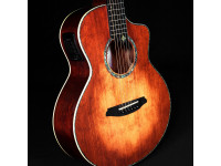 rathbone-navigator-spruce-mahogany-e-cut-inc-gigbag_6914a4729dd6f.jpg