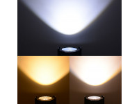 rayfx-cob-par-100w_61154cb05e4ba.jpg