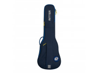 ritter-rgc3-l-abl-les-paul-guitar_61f14a5c9fbdf.jpg
