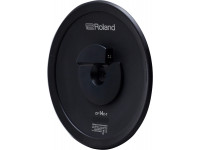 roland-14_6026b437cfc7e.jpg