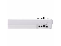 roland-a-49-white_599425246a6e2.jpg