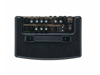 roland-ac-33_59674fb66aad9.jpg