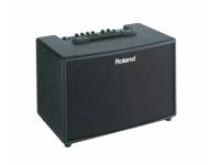 roland-ac-60_5967596d72b07.jpg