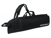 roland-aerophone-pro-ae-30_60196e07def10.jpg