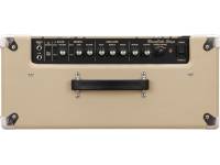 roland-blues-cube-stage_599efa97ecae2.jpg