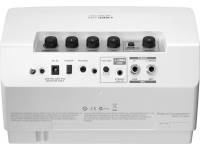 roland-cube-lite-monitor_598de460a2208.jpg