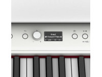 roland-f701-wh-visor-oled_65d715010ed76.jpg