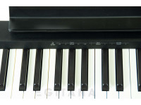 roland-fp-10-bk-piano-digital-eletrico-bluetooth-portatil-colunas-tablet_6132597229202.jpg