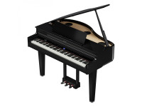 roland-gp-6-pe_66ce056242197.jpg