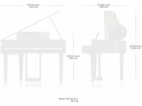 roland-gp-6-pw-dimensoes-medidas-peso_672cf12297b6f.jpg
