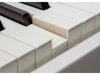 roland-gp-6-pw-teclas-de-madeira-roland-pha-50-hybrid_673ccb597496b.jpg