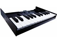 roland-k-25m-boutique_59957e5cb5637.jpg