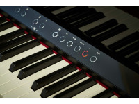 roland-lx-9-ch_66d058b53fa31.jpeg