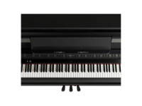 roland-lx-9-ch_66d058bce4cb9.jpg