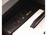 roland-rp-102_5ffda18f6b6e3.jpg