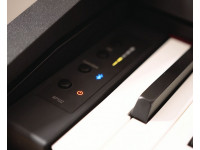roland-rp102-bk-painel-de-controlos_636e3c3c43b12.jpg